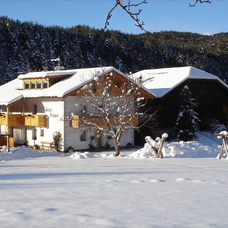 Haus Bergfrieden Apartment Castelrotto Exterior foto